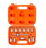 Juego De Extractor De Tapones De Carter 12pc Hamilton Aut21