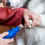 Dremel Pet 7350 Limador De Uñas Mascotas Perro Bajo Ruido Azul Mediano - Imagen 6