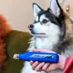 Dremel Pet 7350 Limador De Uñas Mascotas Perro Bajo Ruido Azul Mediano - Imagen 5