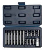 Juego De Puntas Hexagonales X 15 Pzs Bremen (acero S2) 8308