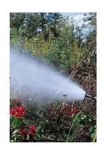 Bomba Periferica De Agua Belarra 1/2hp Cisterna Bph1200 Amarillo 50 Hz Monofásica - Imagen 7