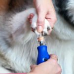 Dremel Pet 7350 Limador De Uñas Mascotas Perro Bajo Ruido Azul Mediano - Imagen 7